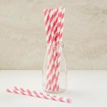 PPS3-16 Striped Paper Straw Hot Pink (20pcs)