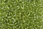 6/0 E Beads #24 Metal Apple Green 1/6Pound