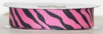 7/8" ZEBRA #904/B Hot Pink w/Black