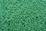 Seed Beads -11/0 size #47 Green 1/6Pound