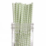 PPS2-83 Chevron Paper Straws Green(20pcs)