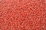 Seed Beads -11/0 size #45 Red 1/6Pound