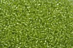 Seed Beads -11/0 size #24 Metal Apple Green 1/6Pound