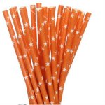 PPS4-162 Orange Star Straws (20pcs)