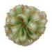 AP027-040 #18 Lt.Mint