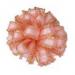 AP027-040 #06 Lt.Peach