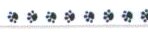 3/8" PAW #C01 White w/Black
