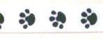 7/8" PAW #C01 White w/Black